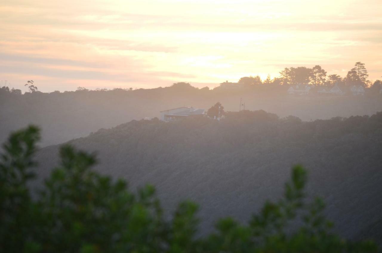 A Wave Song Apartment Wilderness Bagian luar foto