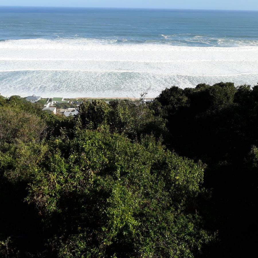 A Wave Song Apartment Wilderness Bagian luar foto